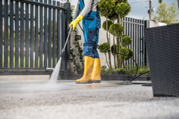 Best Fence Cleaning  in Cedar Falls, IA
